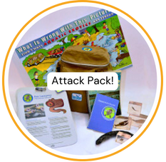 Attack Pack Attack Pack
