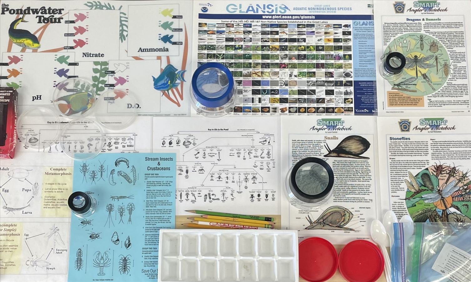 Macroinvertebrate Kit